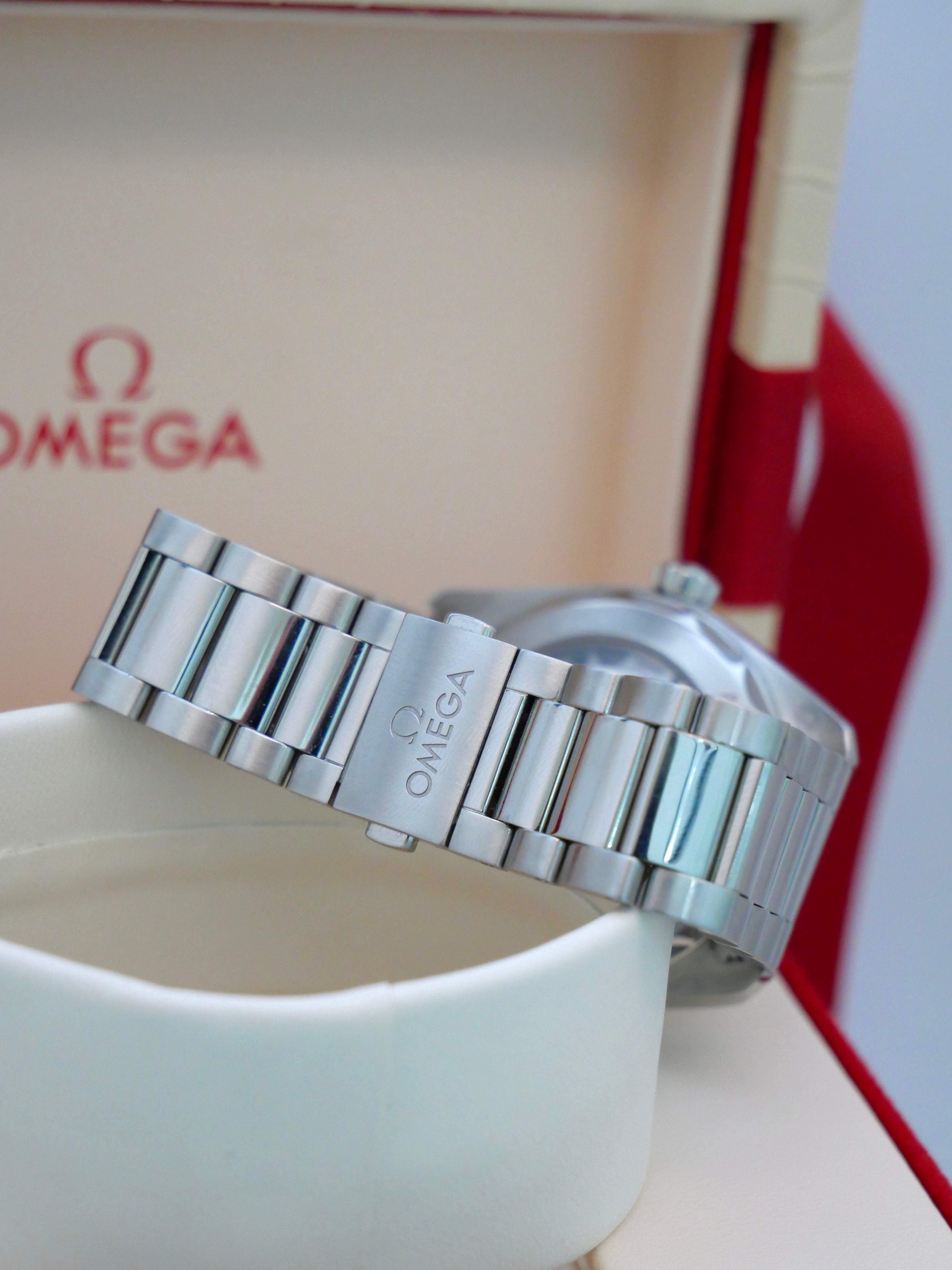 Omega Seamaster Aquaterra