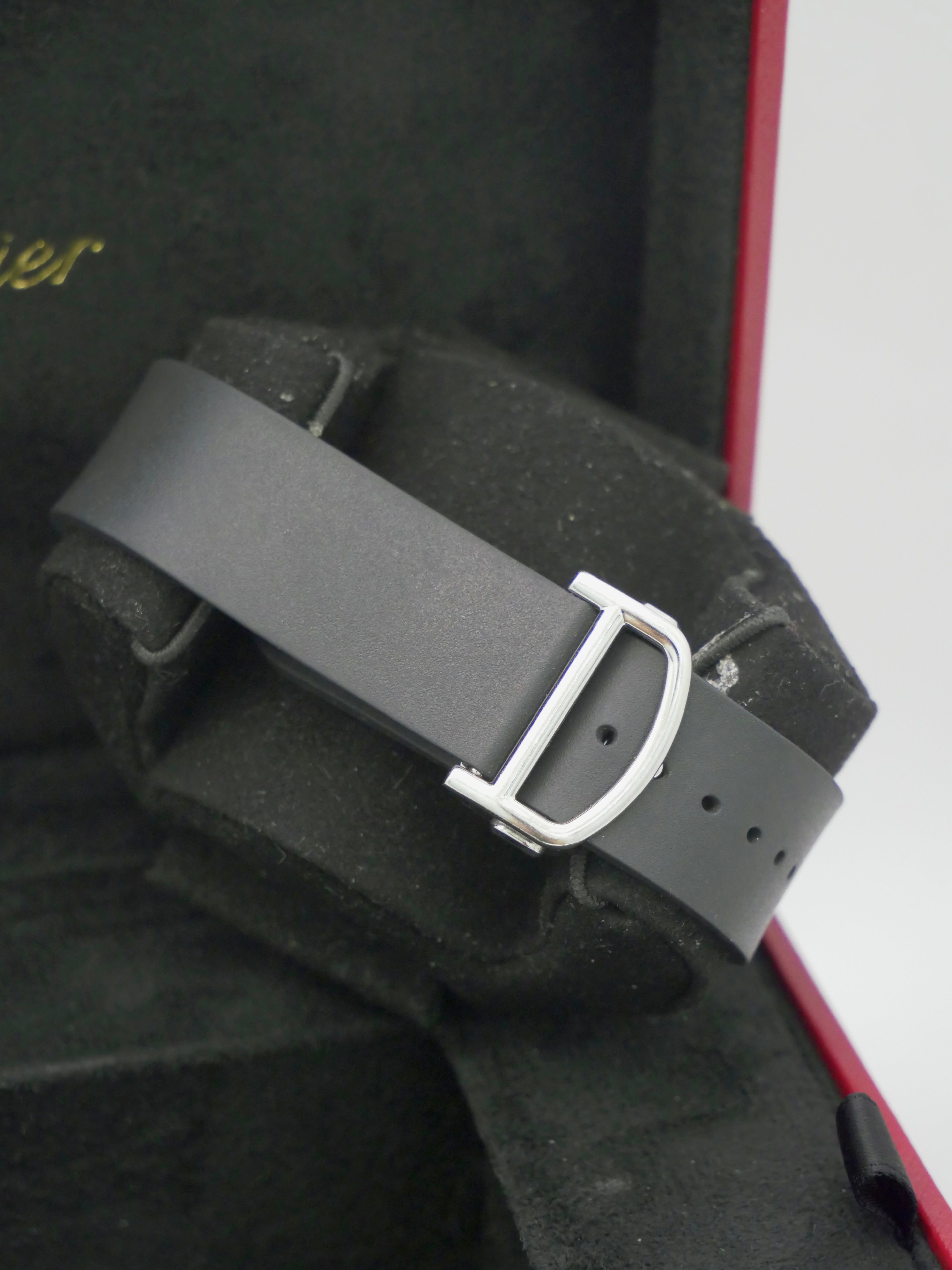 Cartier Santos Large