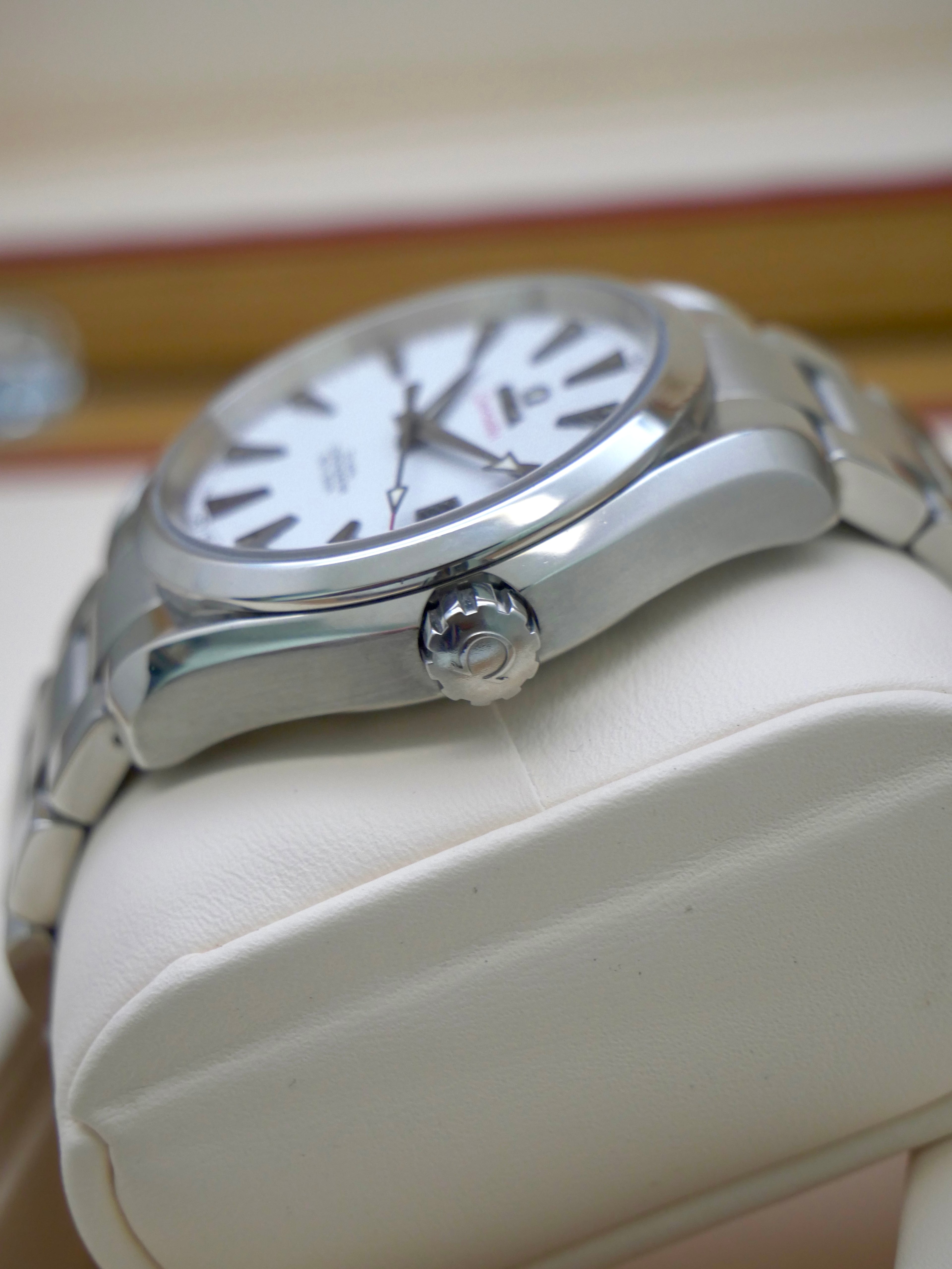 Omega Aquaterra