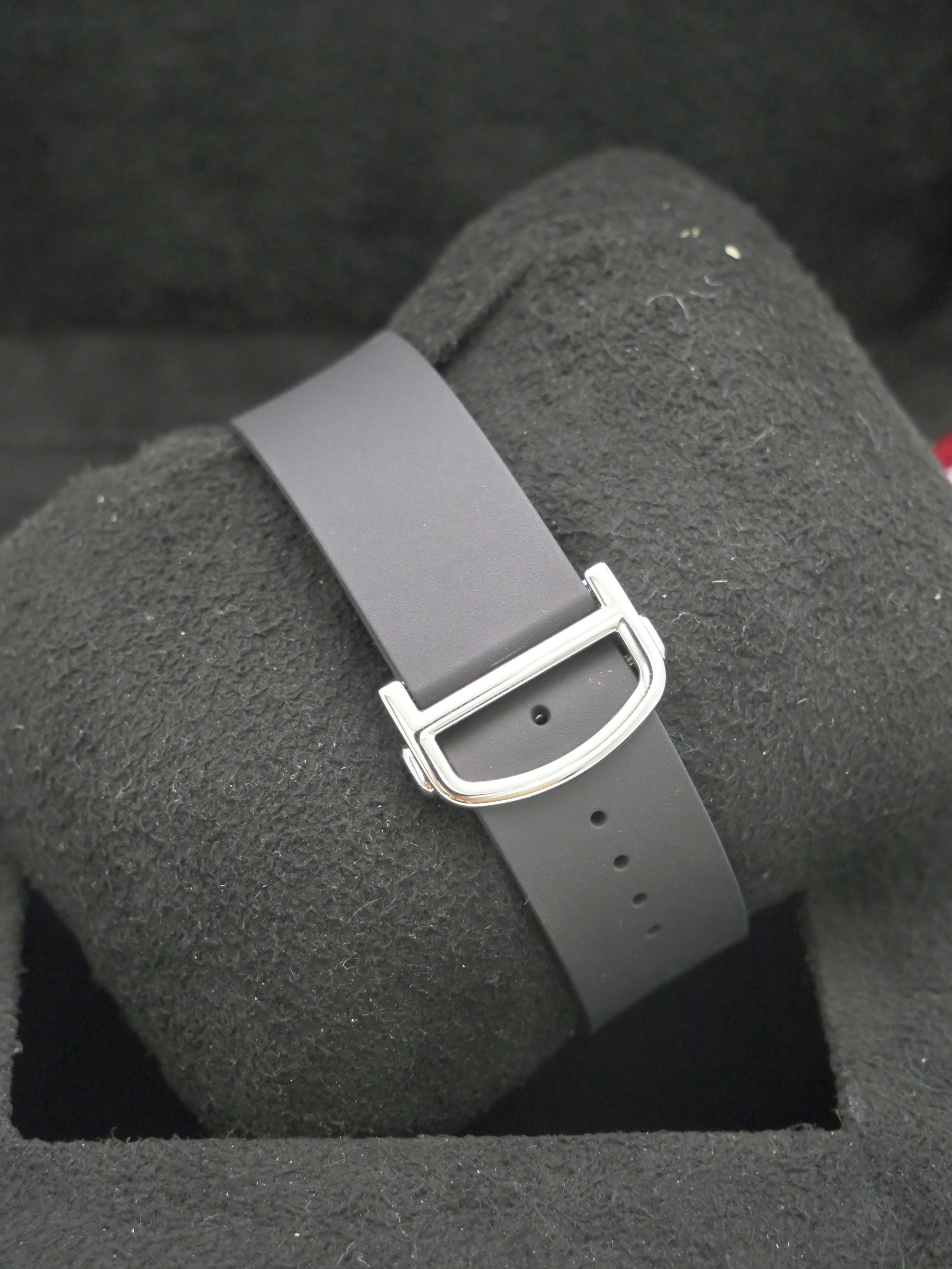 Cartier Santos Large