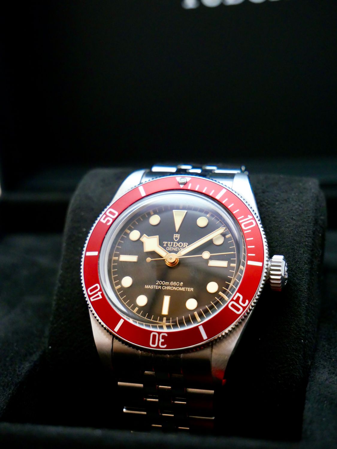 Tudor Black Bay