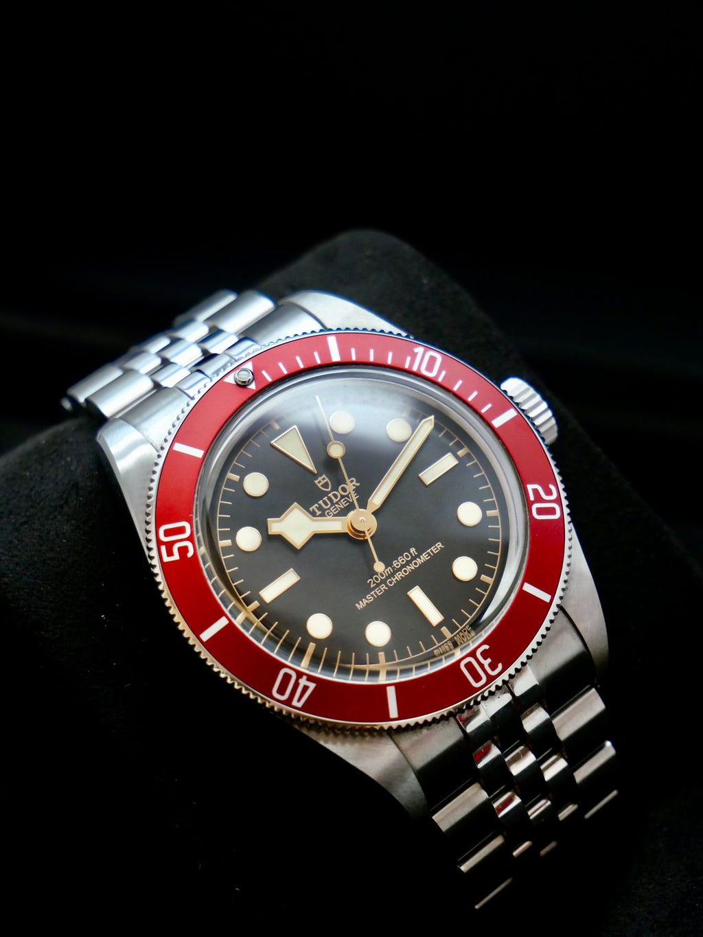 Tudor Black Bay