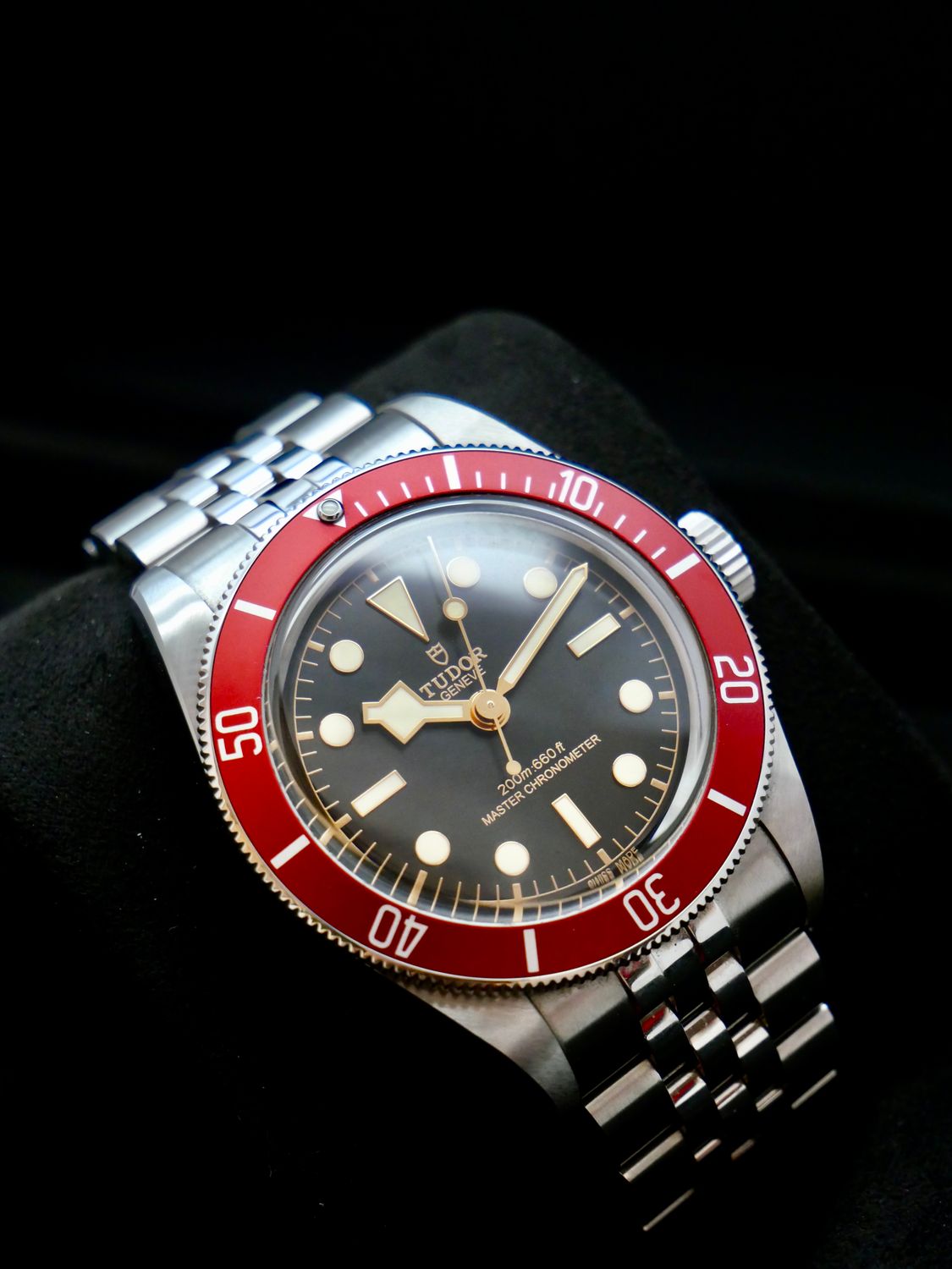 Tudor Black Bay