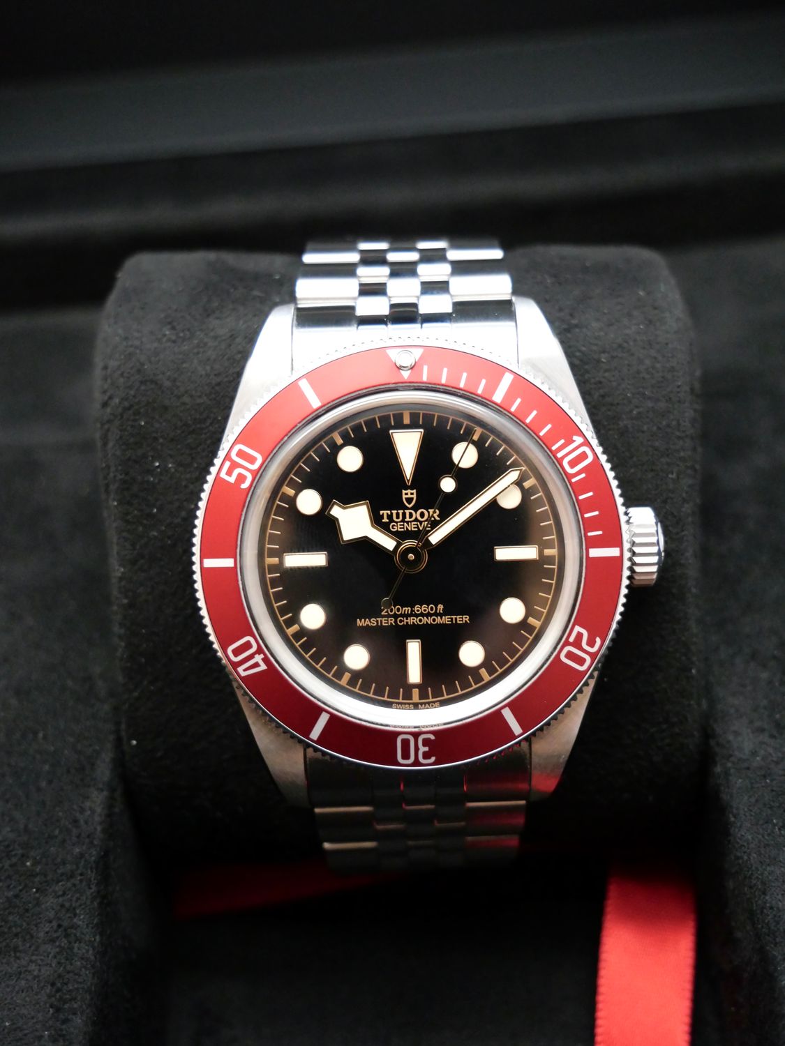 Tudor Black Bay