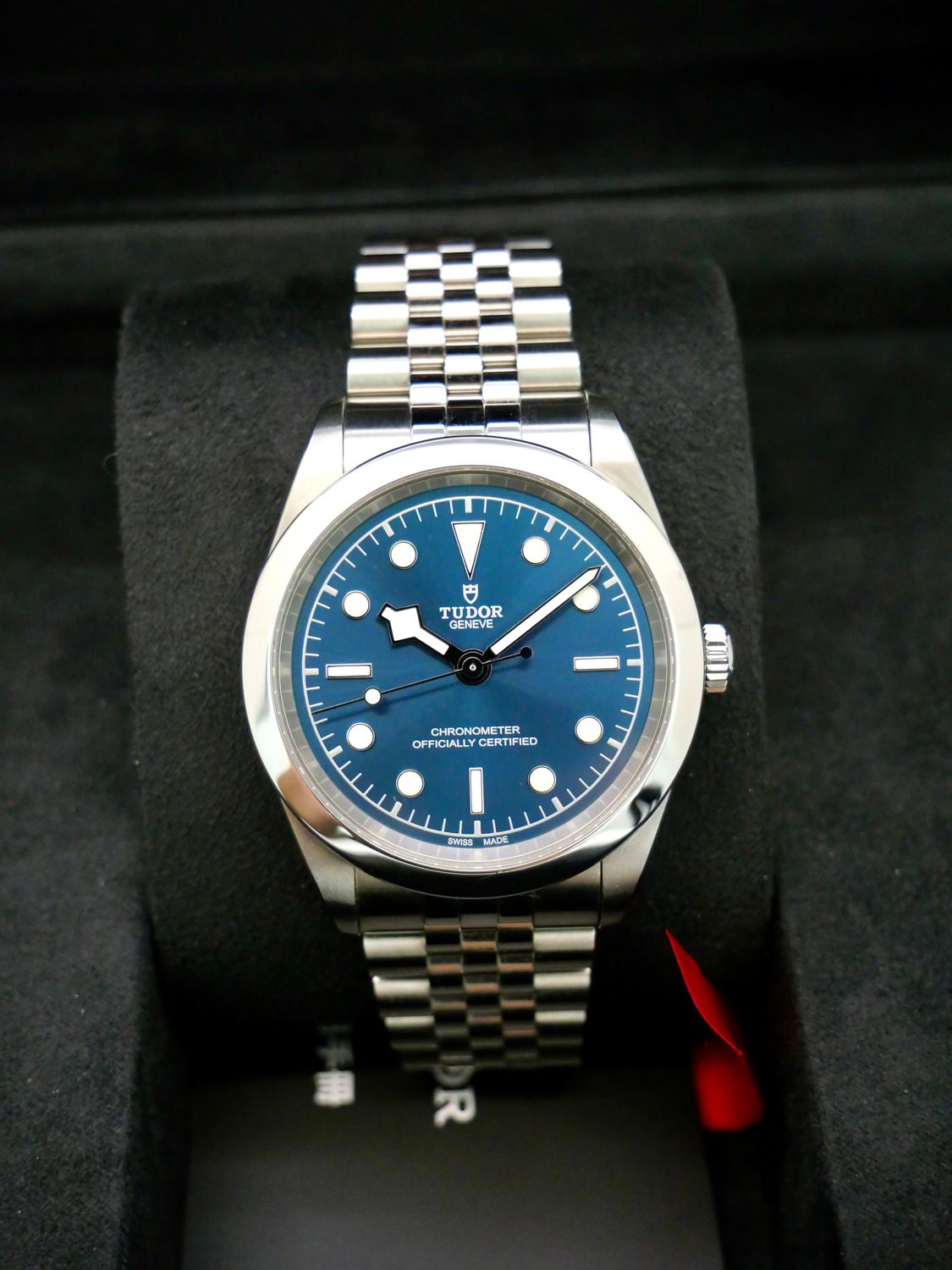 Tudor Black Bay