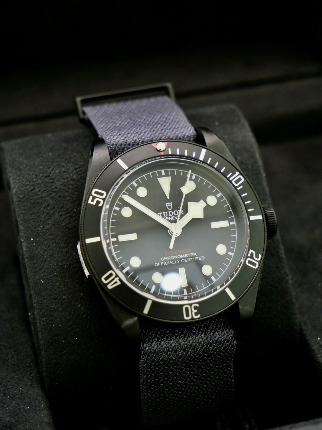 Tudor Black Bay