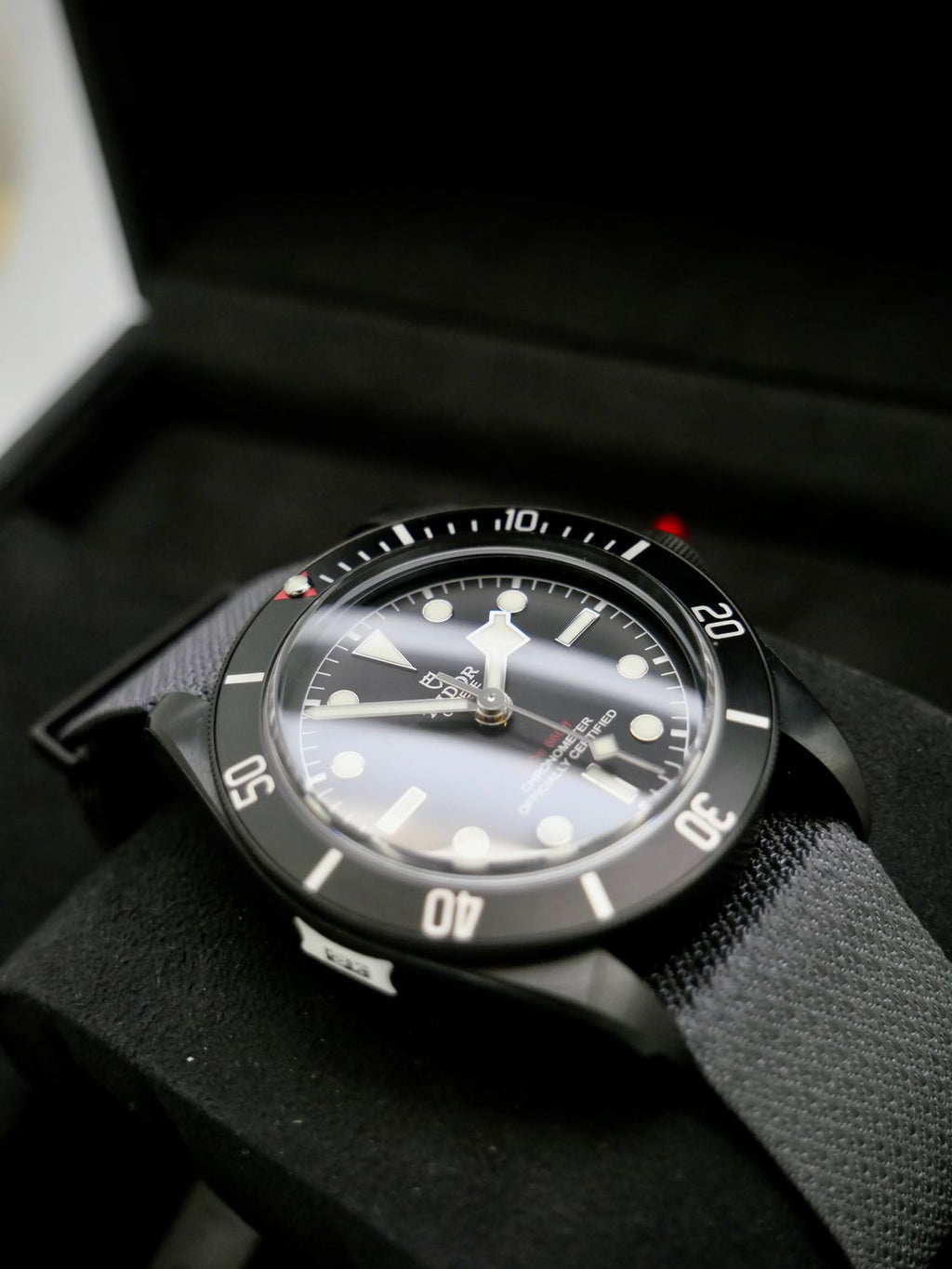 Tudor Black Bay