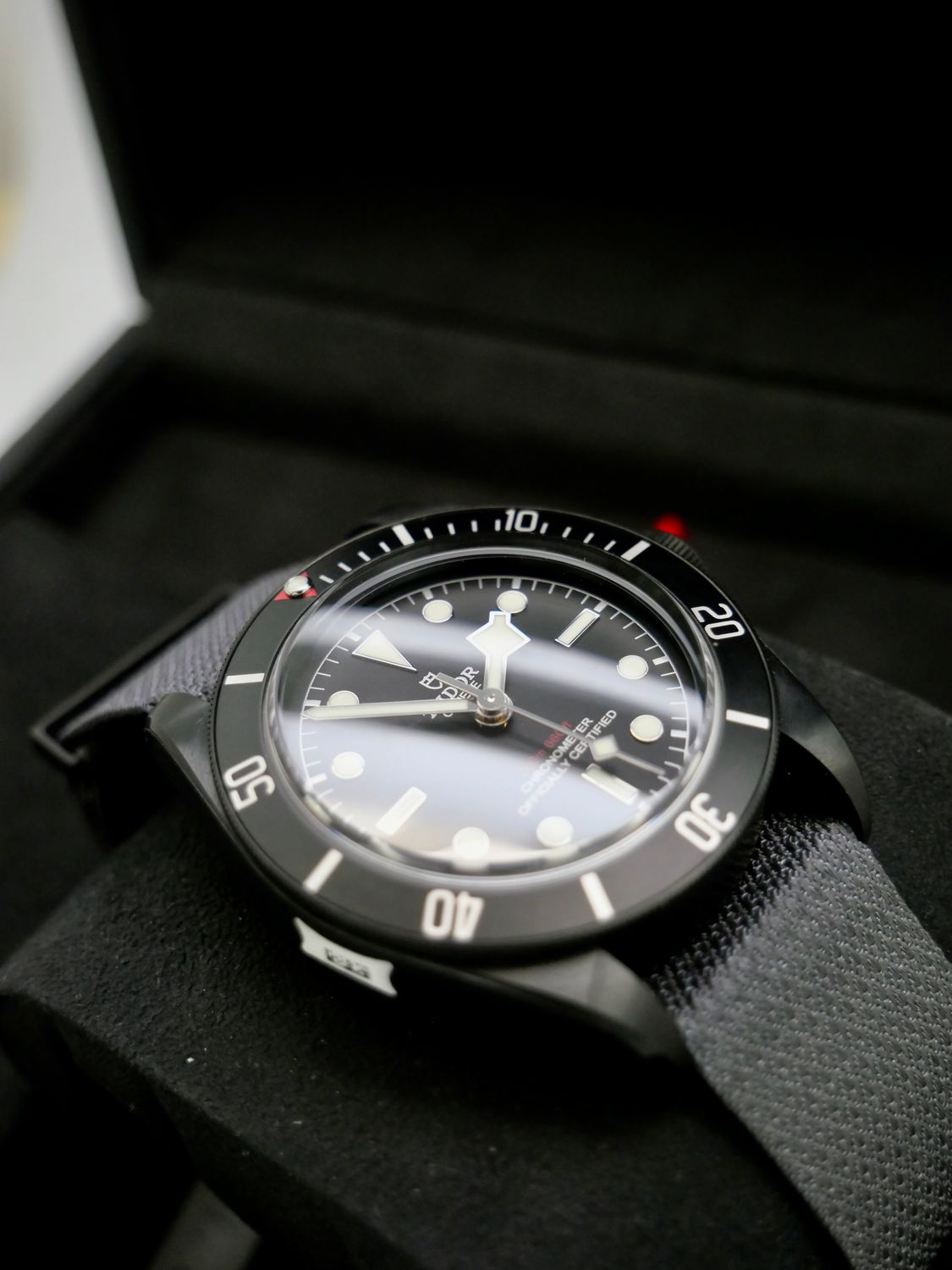 Tudor Black Bay