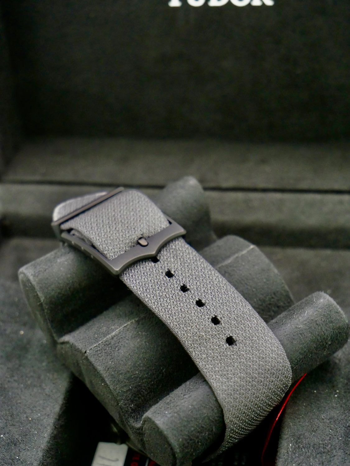 Tudor Black Bay
