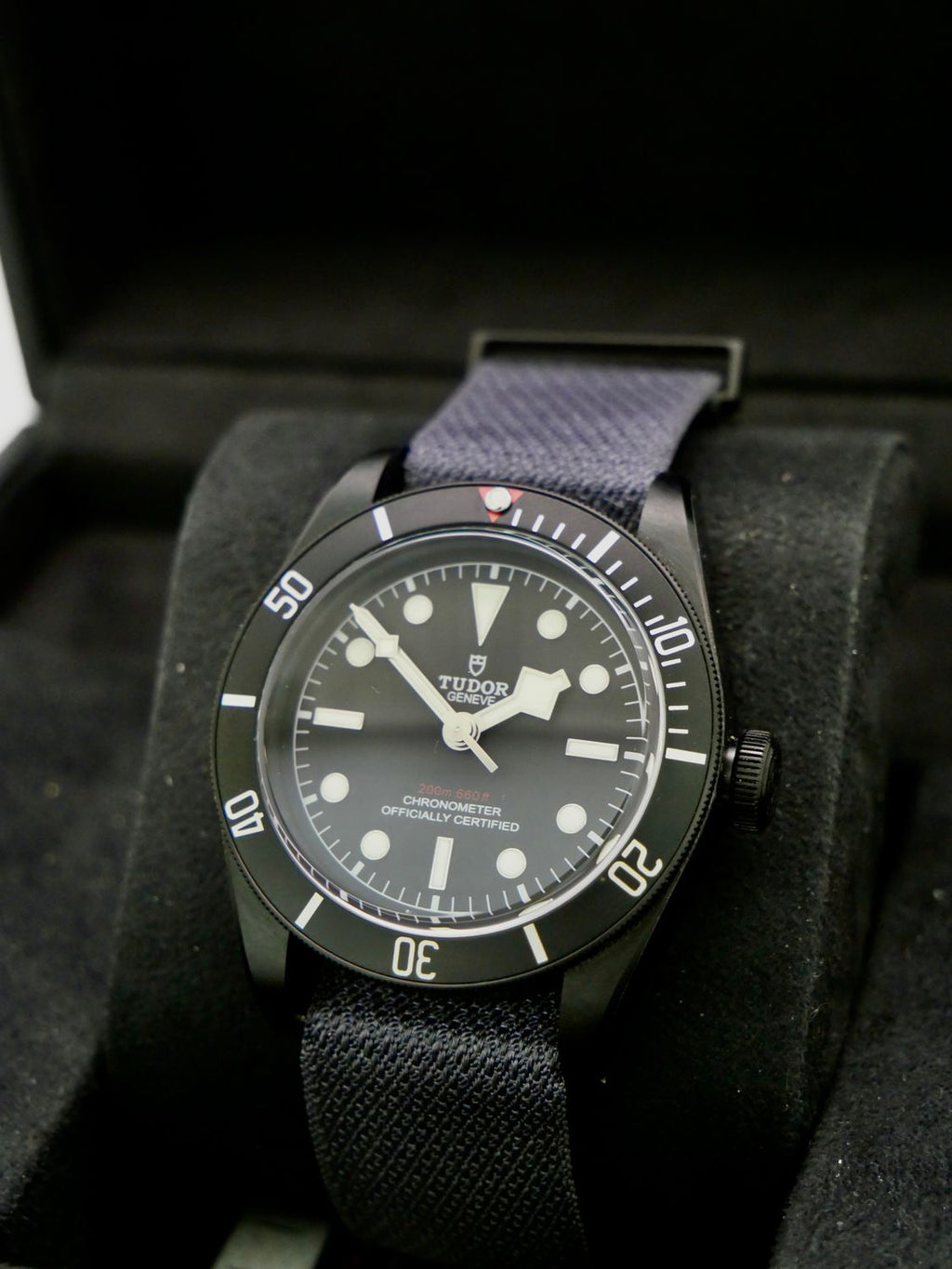 Tudor Black Bay