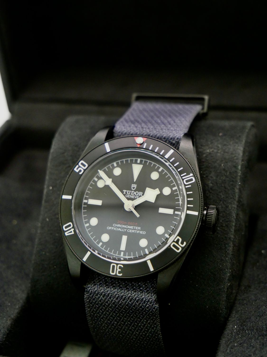 Tudor Black Bay