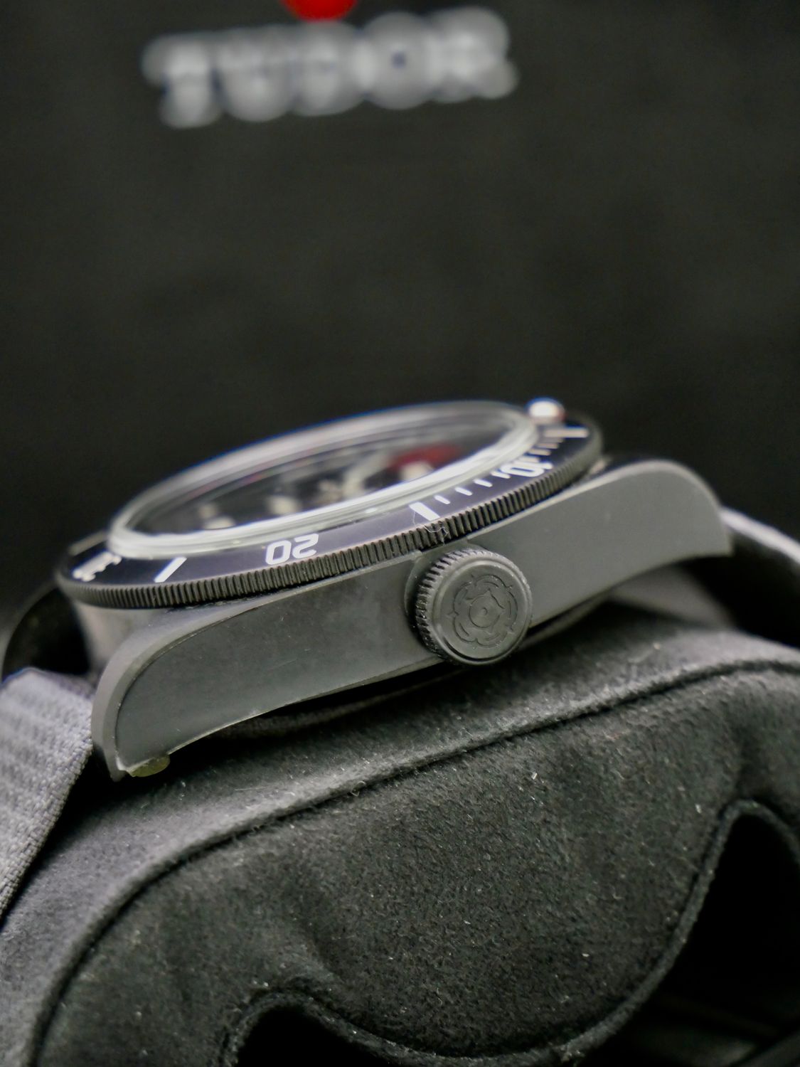 Tudor Black Bay