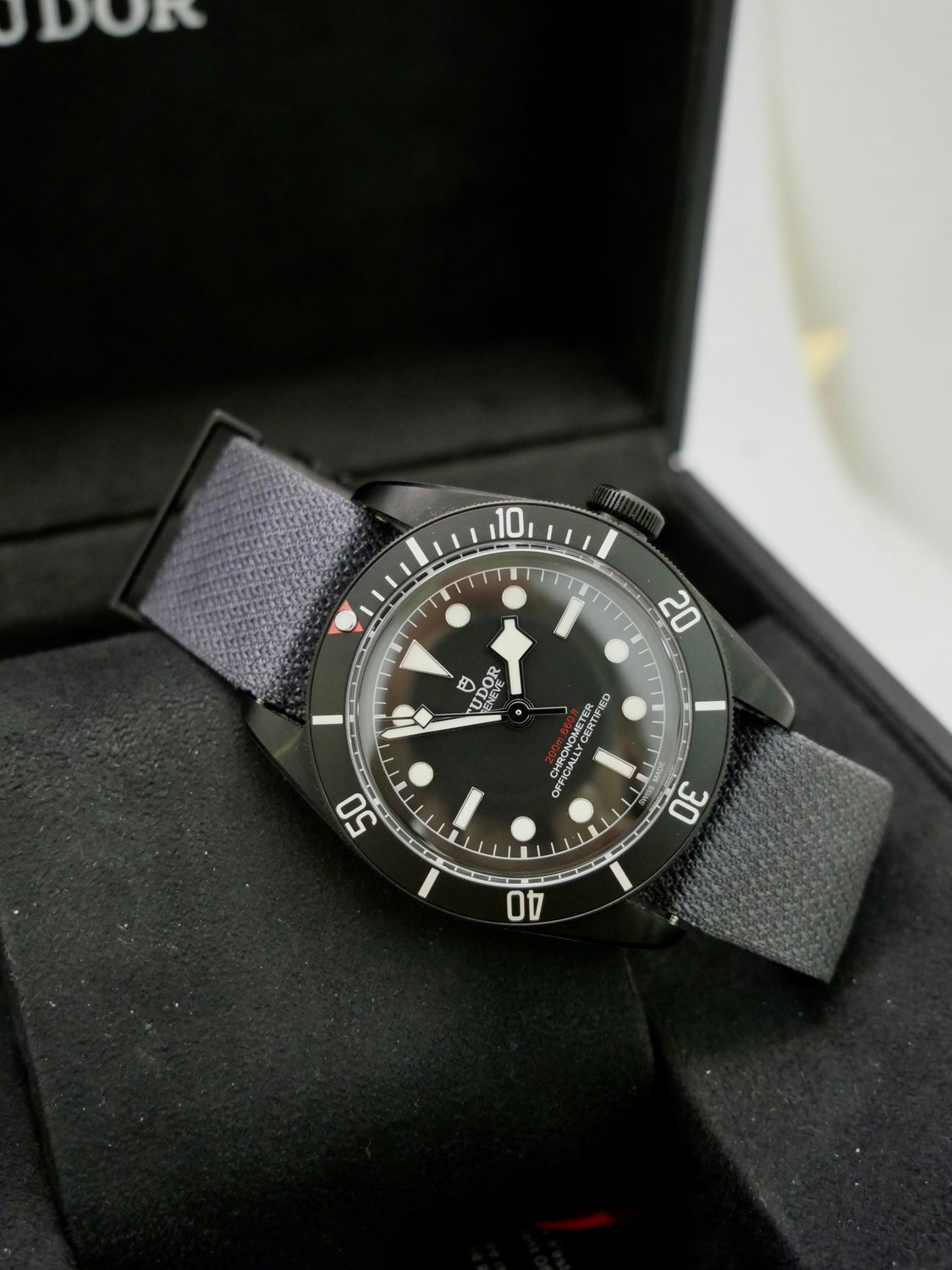 Tudor Black Bay